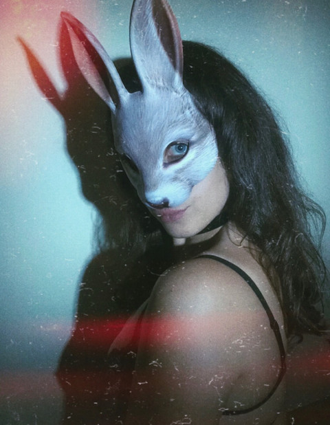 🍯🐇 profile picture