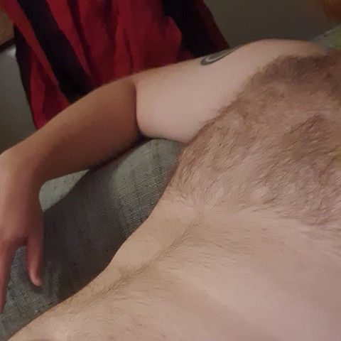 Nordic Bear profile picture