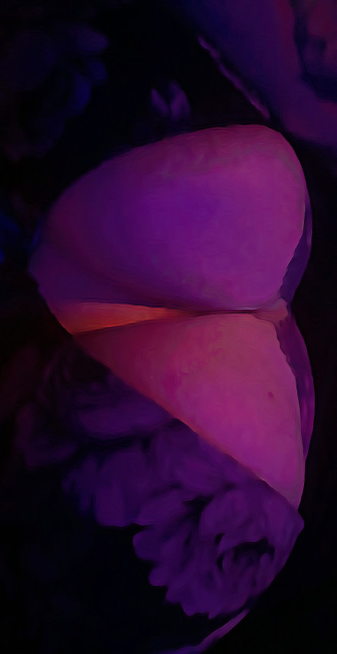 Secret profile picture