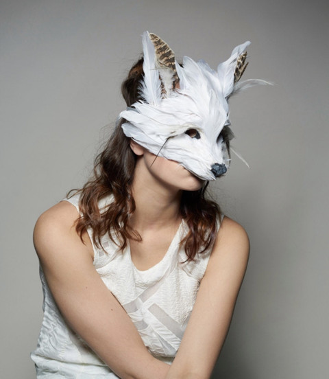 Arctic Fox profile picture