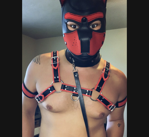 Pup Eddie profile picture