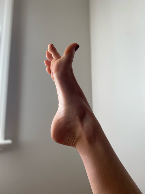 La Vie En Toes profile picture