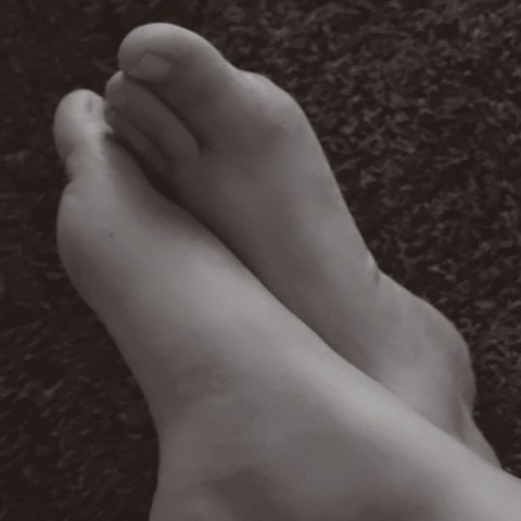 Cheekytoes profile picture