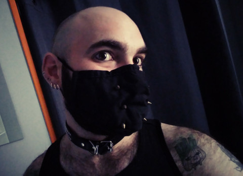 Gentlebear profile picture