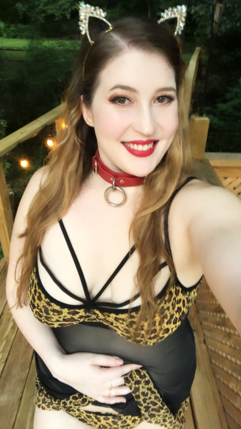 Alabaster Kitten profile picture