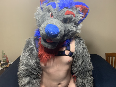 Konrad profile picture