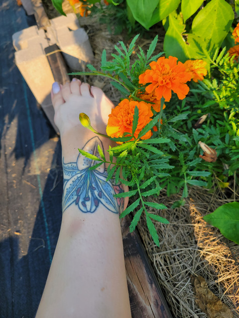 Carensbarefoot profile picture