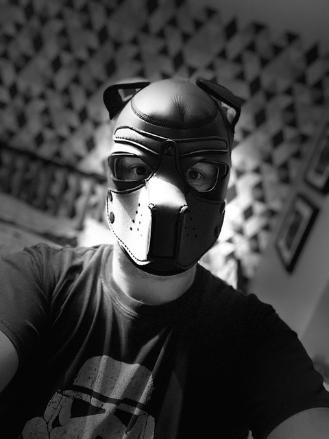 Jay profile picture