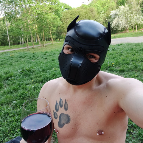 Igy (pup/owner) profile picture