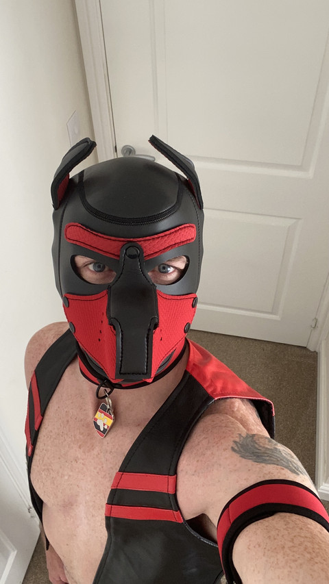 Pup Aries profile picture