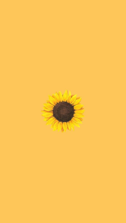 Sunflower profile picture