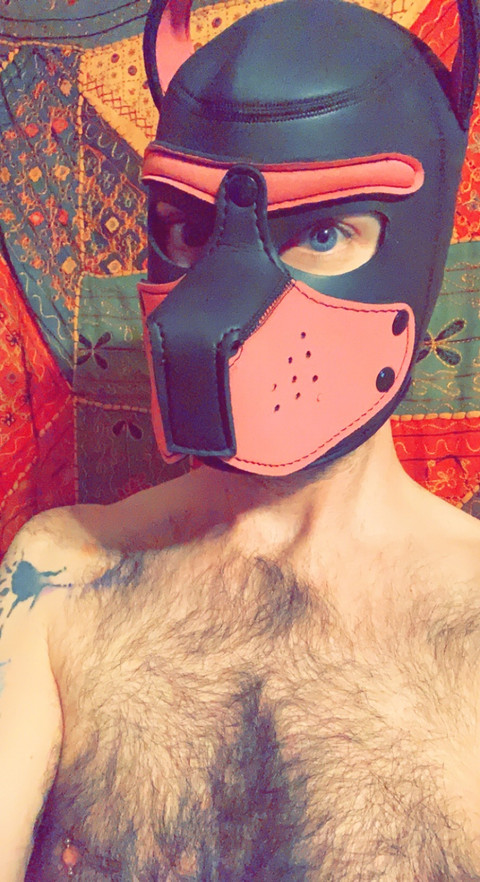 Puppy Tucker profile picture