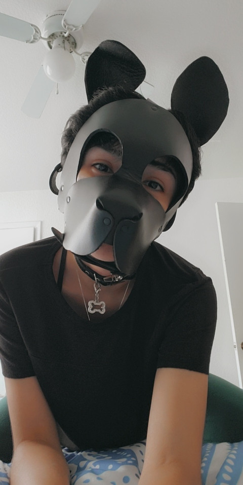 Wicked Critter profile picture