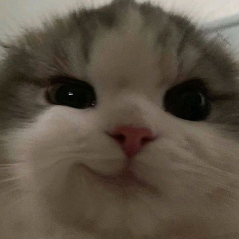 Skye profile picture