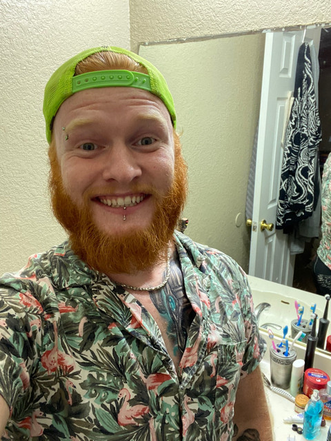 The Painted Ginger profile picture
