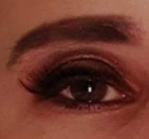 Stephanietravesti profile picture