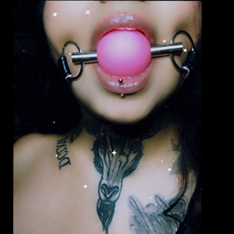 Champagne profile picture