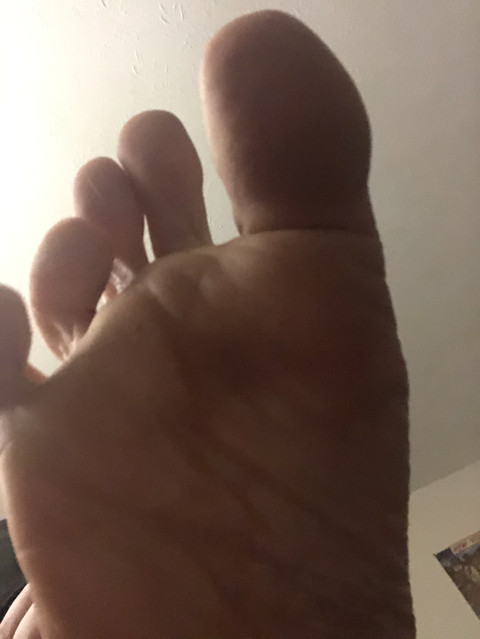 MistyMeadows profile picture