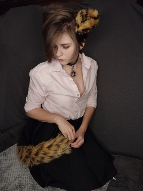 SirKitten profile picture