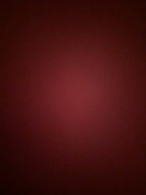 Rayn profile picture