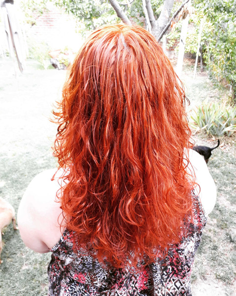 Foxy.babe profile picture