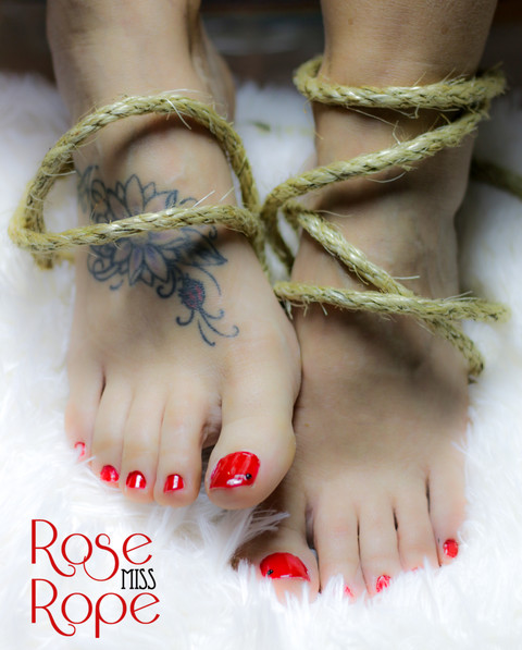 Miss Rose Rope profile picture