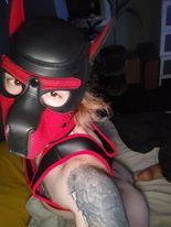 Scruffpup_and_such profile picture