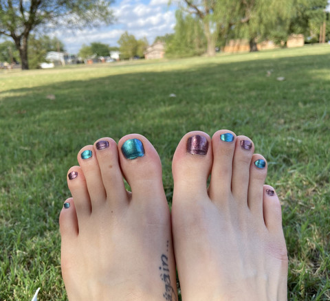 Hippie Toes profile picture