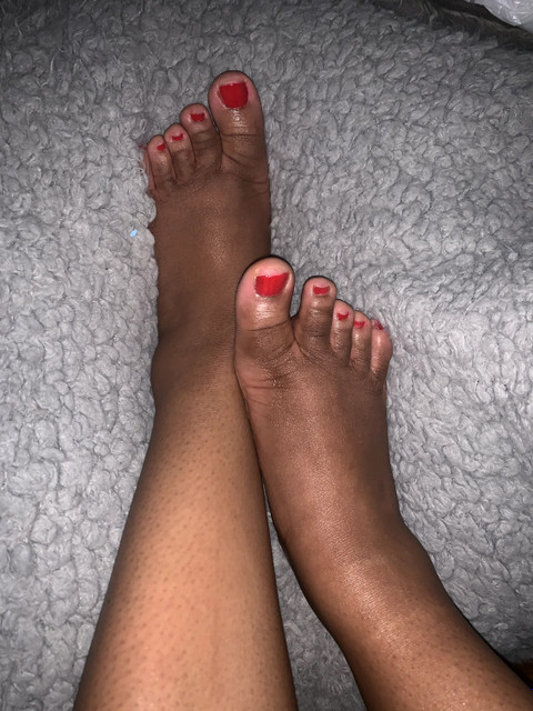 Froot By The Foot profile picture