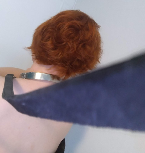 Slave Seven profile picture