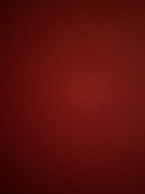 The squeezed seat profile picture