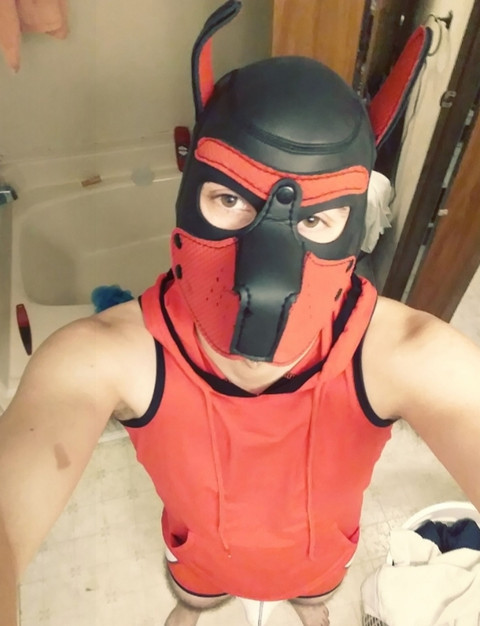 RedRover pup profile picture