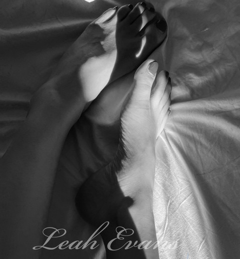 Leah Evans profile picture