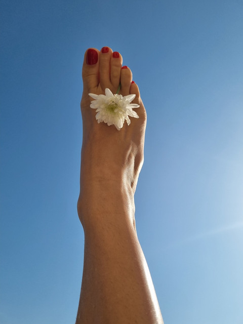 barefootprincess profile picture