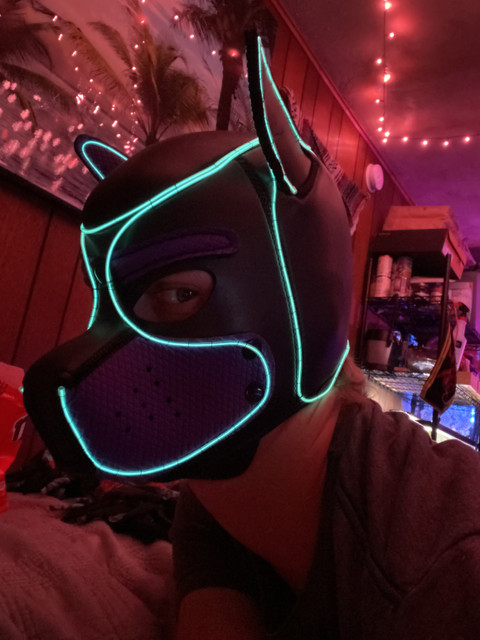 Pup Tron profile picture