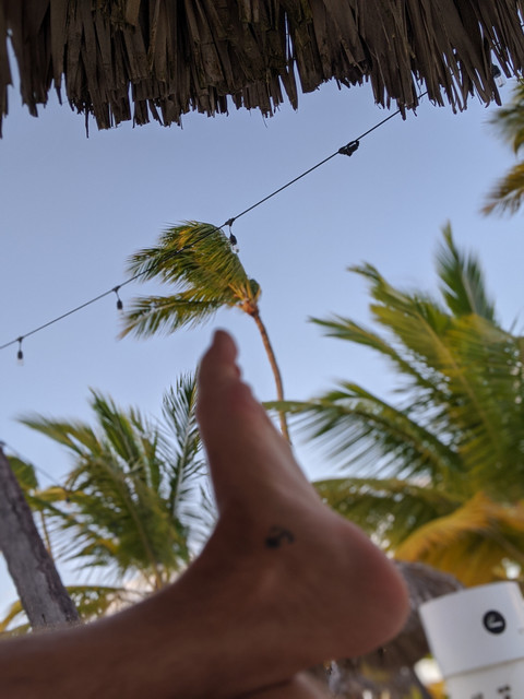 ⚓Carlo's Feet⚓ profile picture
