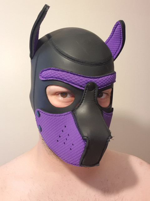 feetwetpup profile picture