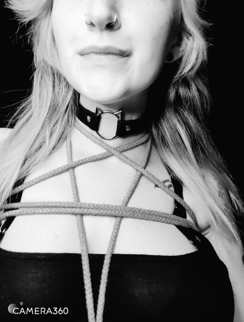 Abby Normal profile picture