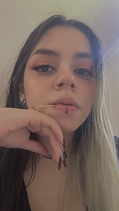 Hell Nymph profile picture