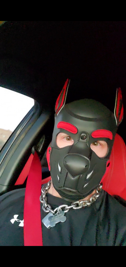 Ozkar ThePup profile picture