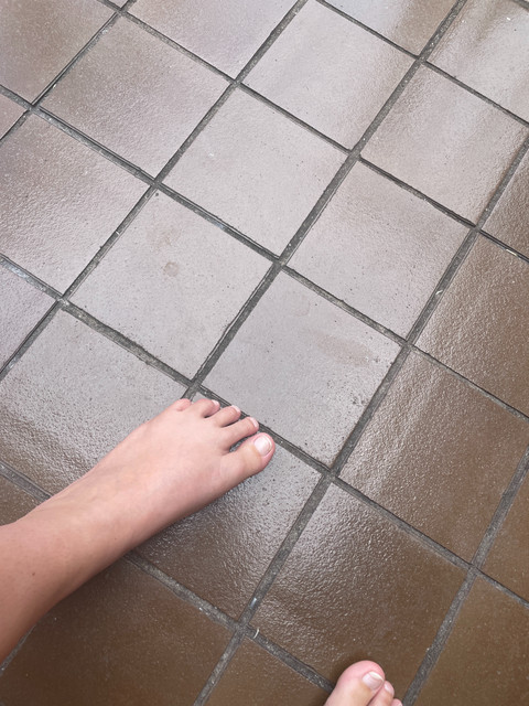 Tippytoes profile picture