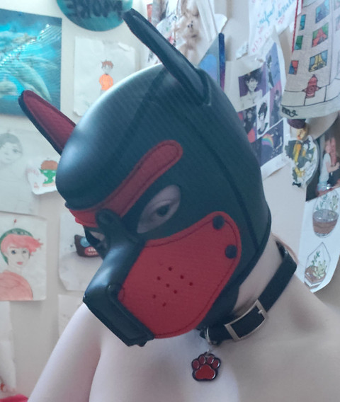 Puppy Slut profile picture