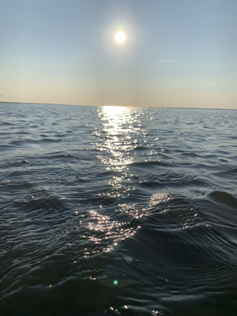 Northsea_feets profile picture