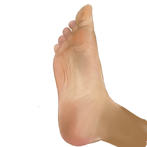 FatCockFootJock profile picture