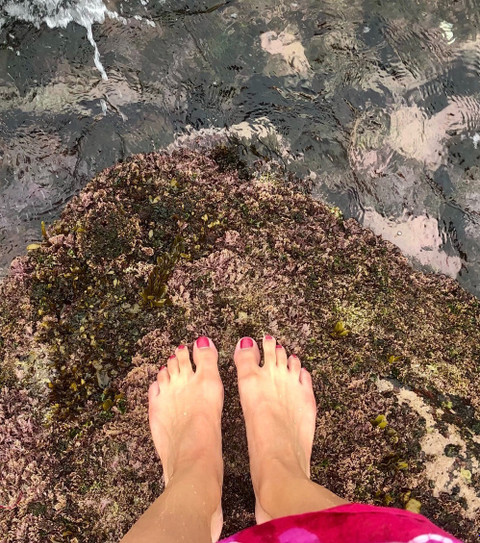 TenTinyToes profile picture