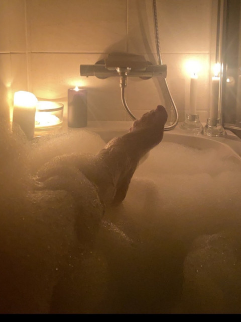 your foot goddess profile picture