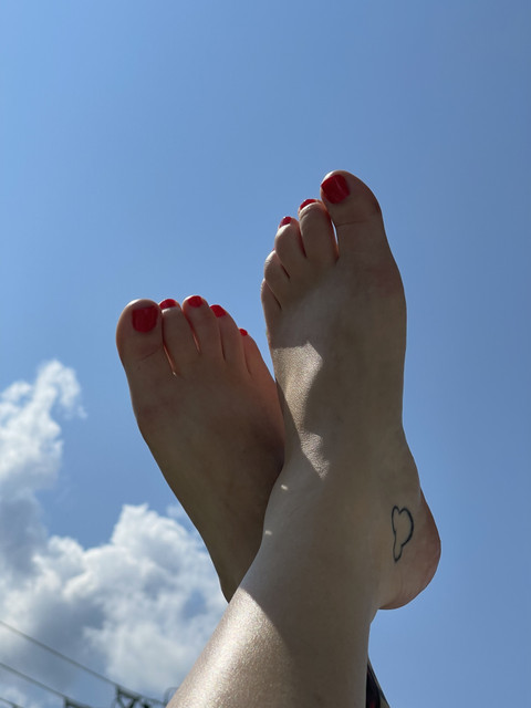 Miss Piggies profile picture