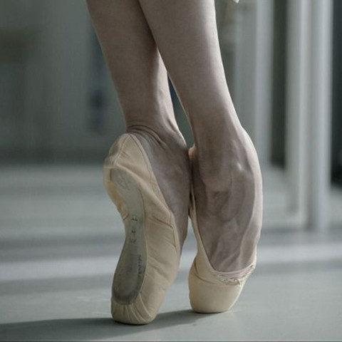My Ballet Feet profile picture