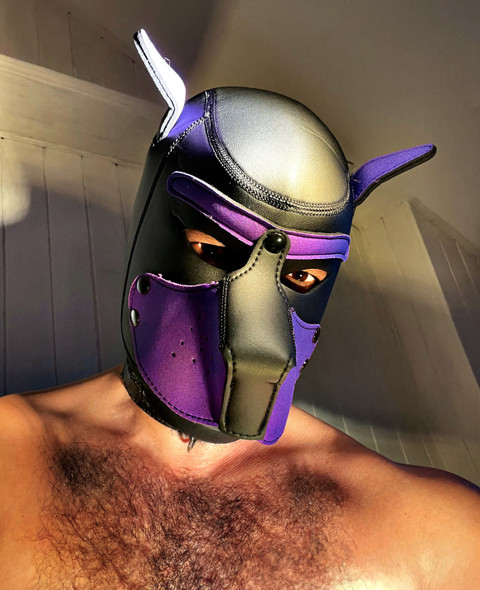 Hot Purple Puppy profile picture