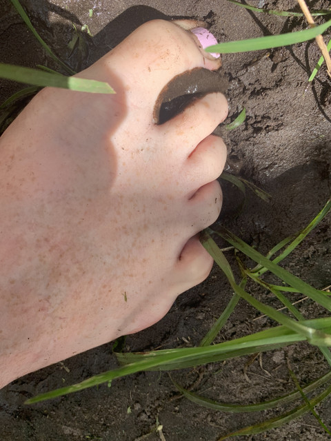 DarlasFeet profile picture